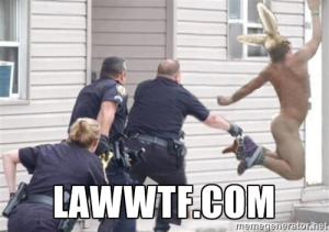 WTF Laws LawWTF.com FOLLOW US! WTF! Laws, Lawyers, Police, Lawsuits, Judges, Court - EVERYTHING THAT MAKES YOU SAY WTF!